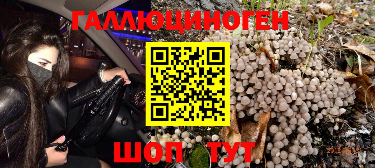 Галлюциногенные грибы мицелий Каспийск